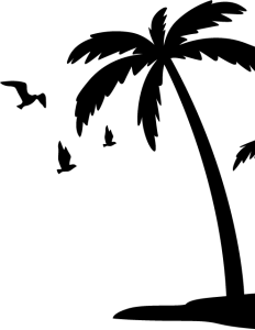 منتج تاجر تاني